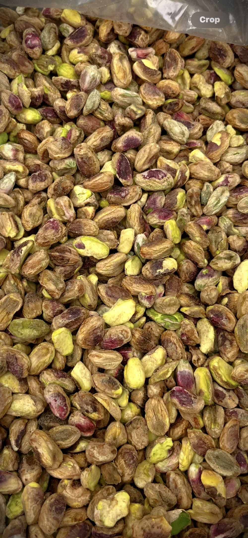 مغز احمدآقایی