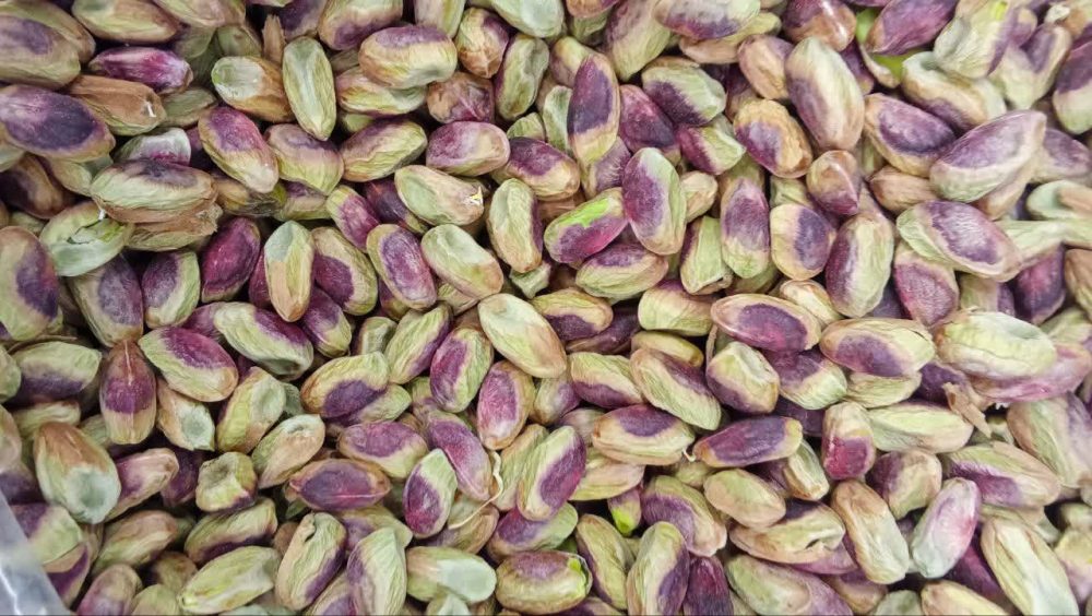 مغز گلدار